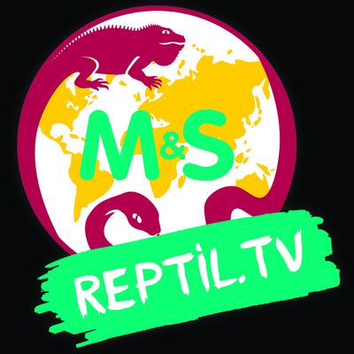 Reptil.TV