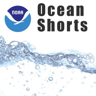 NOAA: Ocean Shorts
