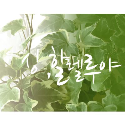 BTWJ 김미영, 조형민의 '싱할렐루야'