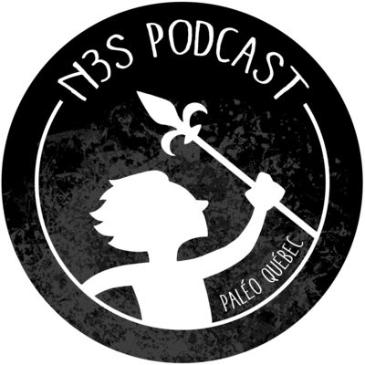 N3S Podcast - Nutrition, santé, sport, sommeil