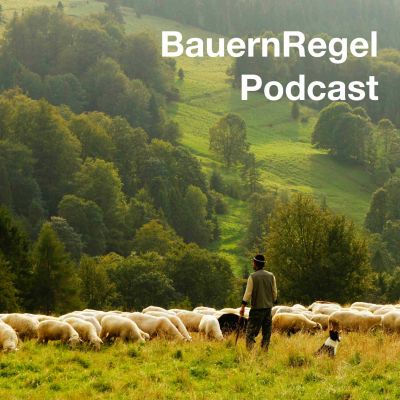 BauernRegel Podcast