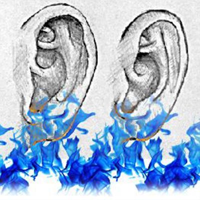 Ein Satz warme Ohren - der Podcast