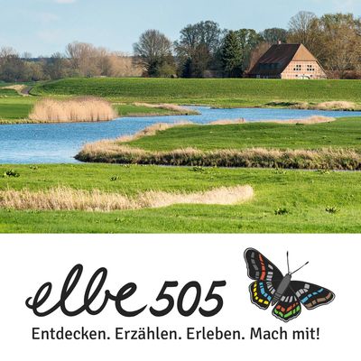 Elbe505