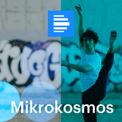 Mikrokosmos – Die Kulturreportage - Hörspiel und Feature