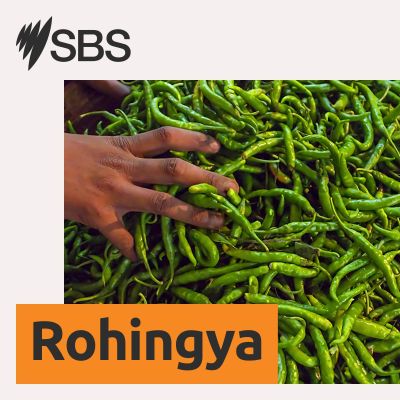 SBS Rohingya - SBS Rohingya