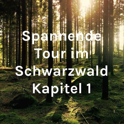 Spannende Tour im Schwarzwald Kapitel 1