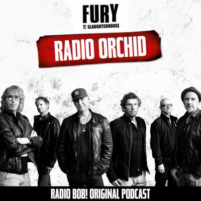 Radio Orchid – der Fury in the Slaughterhouse Podcast bei RADIO BOB!