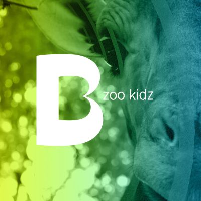 Telebasel Zoo Kidz