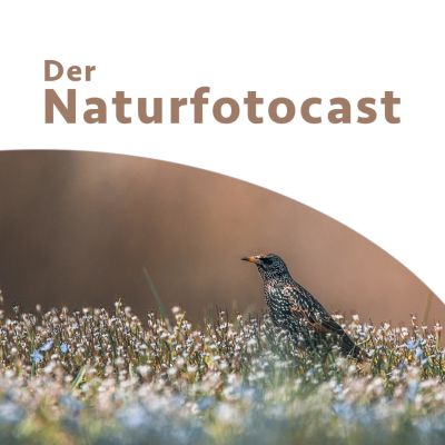 Der Naturfotocast - Podcast für Naturfotografie