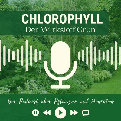 CHLOROPHYLL- der Wirkstoff Grün