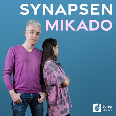 Mittermeiers Synapsen Mikado - Gespräche mit einer 15-Jährigen