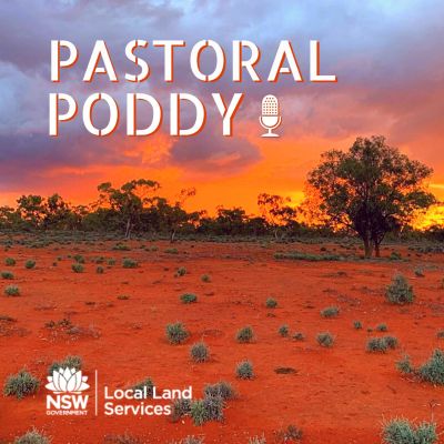 Pastoral Poddy