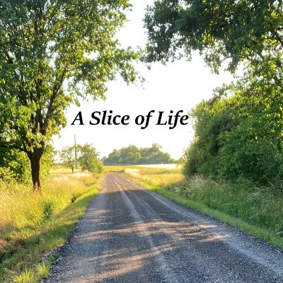 A Slice of Life