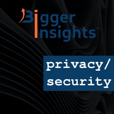 Bigger Insights Privacy & Security