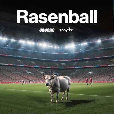 Rasenball: Red Bull und der moderne Fußball