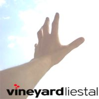 Vineyard Liestal | Predigt