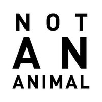 Not An Animal Podcast - NOT AN ANIMAL