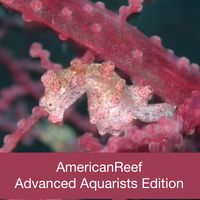 Americanreef - Keeping Saltwater and Coral Reef Aquariums by Learning from Advanced Aquarists
