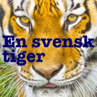 En Svensk Tiger: En podcast om modernhistoria.