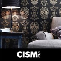 CISM 89.3 : L'âme hi/fi