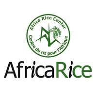 AfricaRice Audio Podcasts