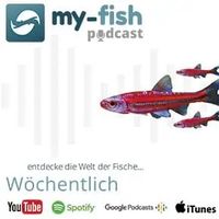 my-fish.org – Aus Freude an der Aquaristik (Aus Freude an der Aquaristik Podcast)