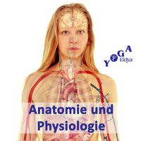 Anatomie und Physiologie – Naturheilkunde