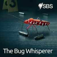 The Bug Whisperer - The Bug Whisperer