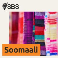 SBS Somali - SBS Afsomali