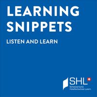 Learning Snippets