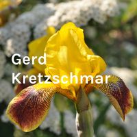 Gerd Kretzschmar - Entfalte dein Potential