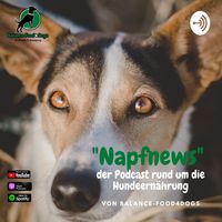 Napfnews, der etwas andere Podcast rund um die Ernährung von Hunden 
