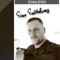 Wer ist DerWaldFried