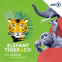 Elefant, Tiger &amp; Co. - Der Podcast