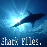 Shark Files