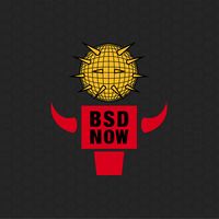 BSD Now