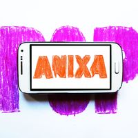 Anixa Pop - Das Gespenst im Web