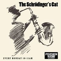 The Schrödinger's Cat