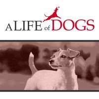 A Life of Dogs
