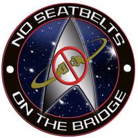 No Seatbelts on the Bridge