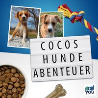 Cocos Hundeabenteuer
