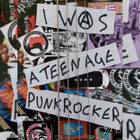 I Was A Teenage Punkrocker
