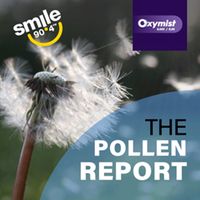 The Pollen Report