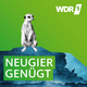 WDR 5 Neugier genügt Freifläche
